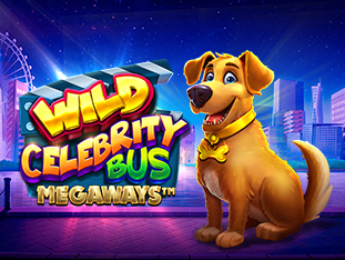 Wild Celebrity Bus Megaways thumbnail