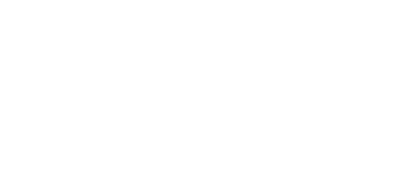 نیٹیلر (Neteller) partner logo