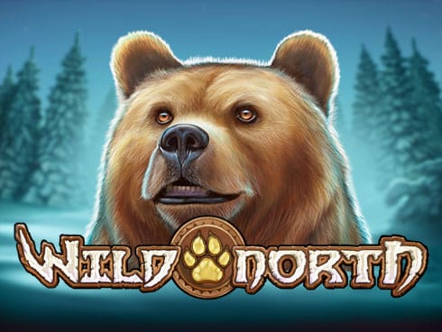 وائلڈ نارتھ game screenshot